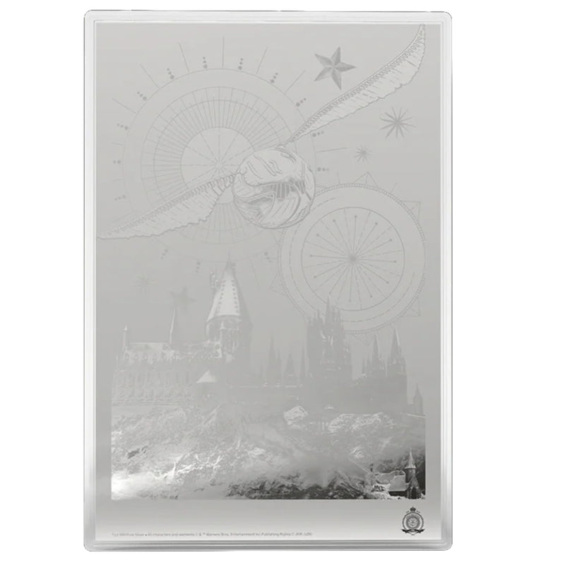Agoro: Harry Potter Movie Poster - Harry Potter and the Philosopher's Stone Silver Foil Collectible Agoro