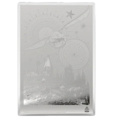 Agoro: Harry Potter Movie Poster - Harry Potter and the Sorcerer's Stone Silver Foil Collectible Agoro