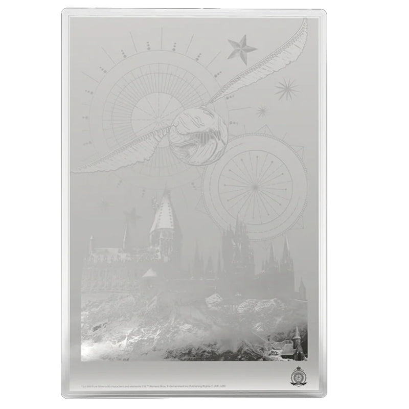 Agoro: Harry Potter Movie Poster - Harry Potter and the Sorcerer's Stone Silver Foil Collectible Agoro
