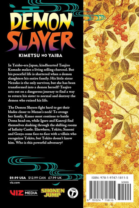 Demon Slayer: Kimetsu no Yaiba - Volume 19 Manga Viz Media