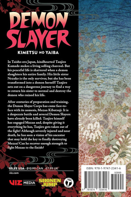 Demon Slayer: Kimetsu no Yaiba - Volume 22 Manga Viz Media