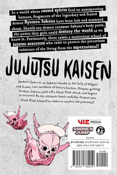 Jujutsu Kaisen: Volume 29 Manga Viz Media