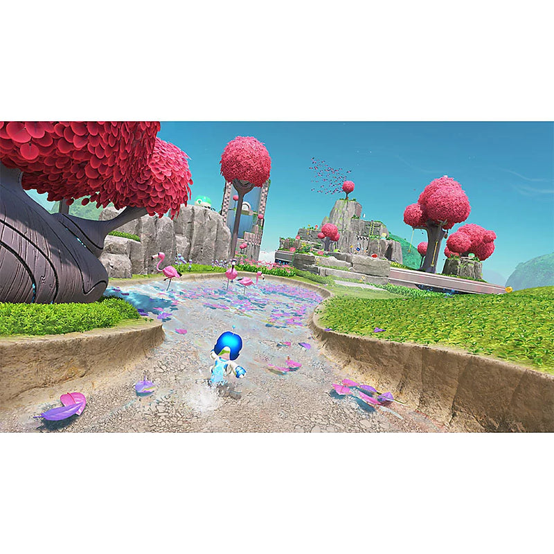 PlayStation 5 Slim: Astro Bot Bundle - Disc Free Digital Console System PlayStation 5 Hardware Sony