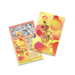 Pokémon TCG: Scarlet & Violet - 151 Mini Tin: Kadabra & Hitmonlee - 2 Booster Packs Card Game Pokemon