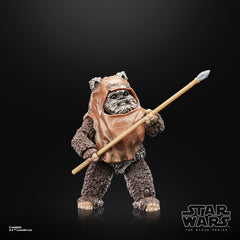 Star Wars Return of the Jedi: Wicket Toys & Games Hasbro