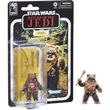 Star Wars Return of the Jedi: Wicket Toys & Games Hasbro