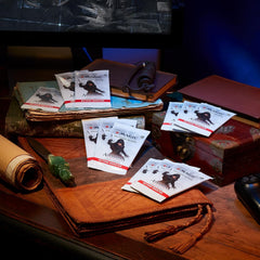 Magic: The Gathering TCG Universes Beyond: Assassin’s Creed Beyond Booster Box - 24 Packs Card Game Wizards of the Coast