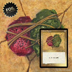 Magic: The Gathering TCG - Secret Lair Drop Series - Dan Frazier is Back: The Allied Signets - Foil Etched Edition Card Game Wizards of the Coast