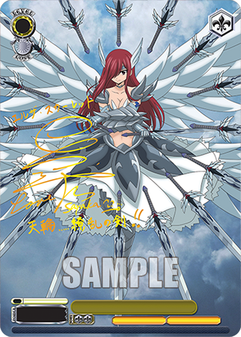 Weiss Schwarz TCG: Fairy Tail 100 Years Quest Booster Box - 12 Packs Card Game Bushiroad