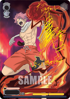 Weiss Schwarz TCG: Fairy Tail 100 Years Quest Booster Box - 12 Packs Card Game Bushiroad