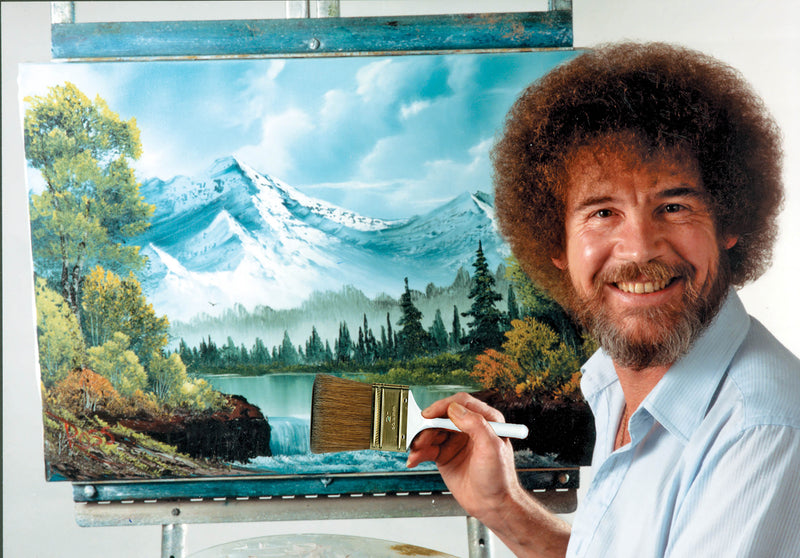 Funko POP! Television: Bob Ross - The Joy of Painting Vinyl Figure #524 Toys & Games Funko