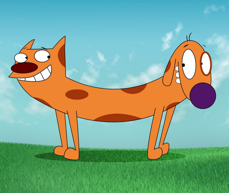 Funko POP! Animation: Flocked Catdog - SDCC Exclusive Toys & Games Funko