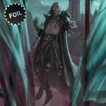 Magic the Gathering: Secret Lair Welcome to Castle Dracula (Foil) Card Game Wizards of the Coast