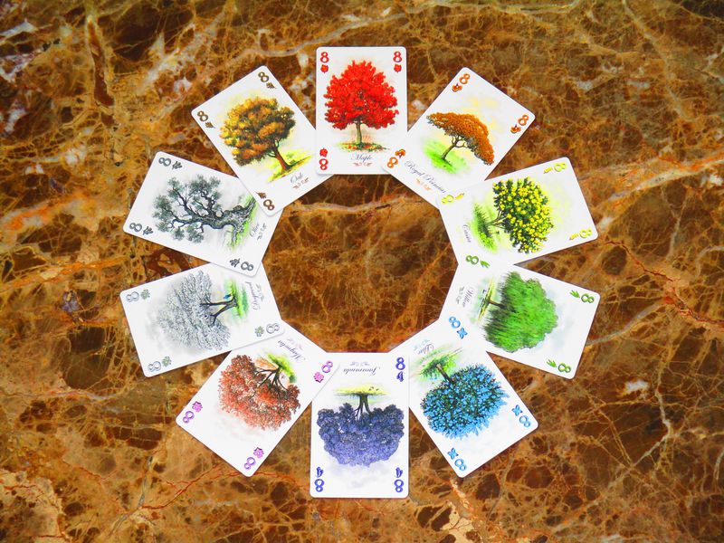 Arboretum Card Game Renegade Games