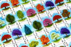 Arboretum - Deluxe Edition Card Game Renegade Games