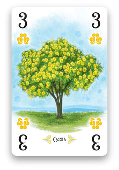 Arboretum - Deluxe Edition Card Game Renegade Games