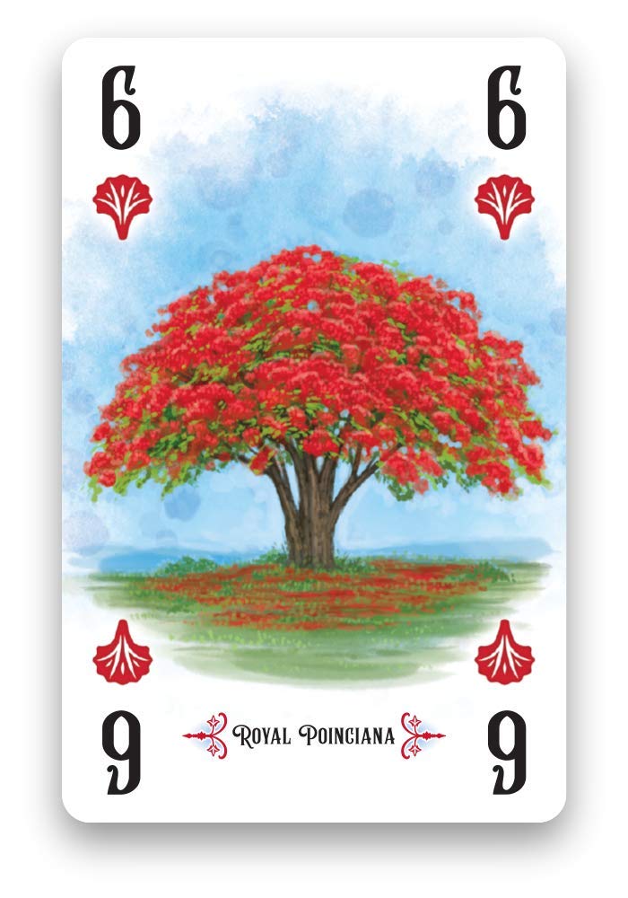 Arboretum Card Game Renegade Games