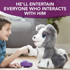 FurReal Ricky The Trick-Lovin' Pup Toys & Games Hasbro