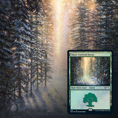 Magic: The Gathering TCG - Secret Lair Drop Series - Eldraine Wonderland - Foil Card Game Wizards of the Coast