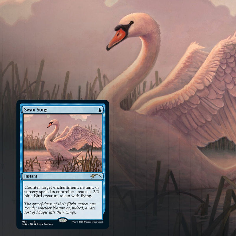 Magic: The Gathering TCG - Secret Lair Drop Series - Ornithological Studies Card Game Wizards of the Coast