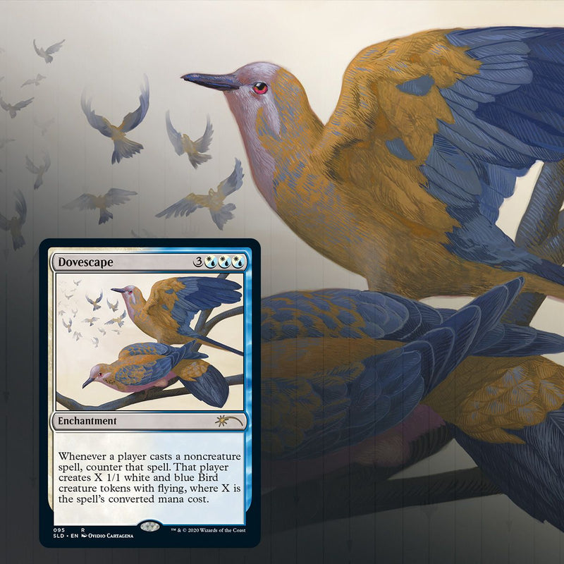 Magic: The Gathering TCG - Secret Lair Drop Series - Ornithological Studies Card Game Wizards of the Coast