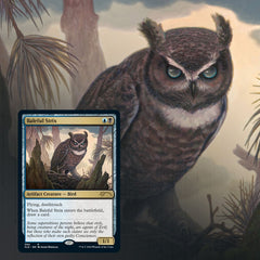 Magic: The Gathering TCG - Secret Lair Drop Series - Ornithological Studies Card Game Wizards of the Coast