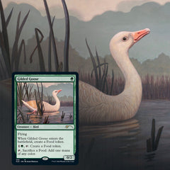 Magic: The Gathering TCG - Secret Lair Drop Series - Ornithological Studies Card Game Wizards of the Coast