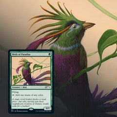 Magic: The Gathering TCG - Secret Lair Drop Series - Ornithological Studies Card Game Wizards of the Coast