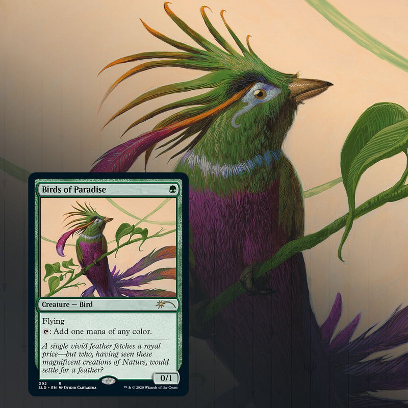 Magic: The Gathering TCG - Secret Lair Drop Series - Ornithological Studies Card Game Wizards of the Coast