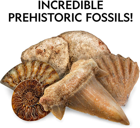 National Geographic Ultimate Rock, Mineral and Fossil Activity Kit Toys & Games National Geographic