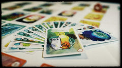 Sylvion Board Game Z-Man Games