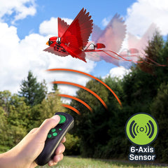 Zing Go Go Bird - Red Toys & Games Zing