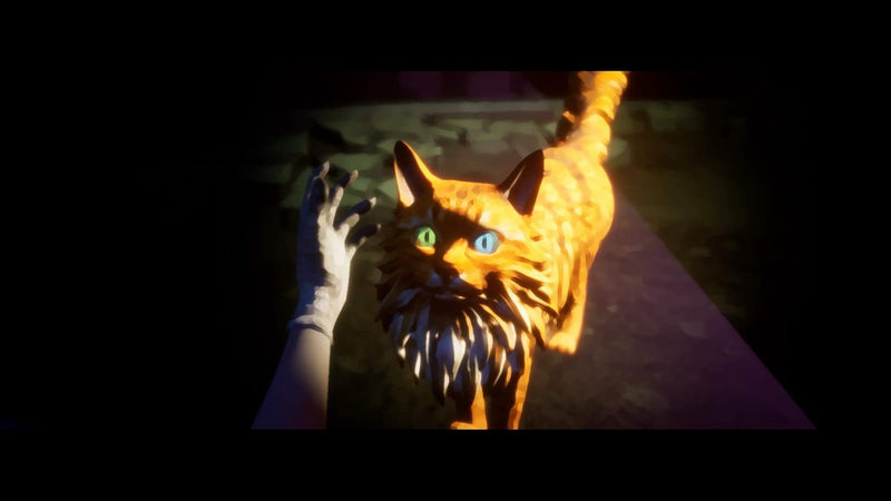 Another Sight [PlayStation 4] PlayStation 4 Video Game Toplitz Productions