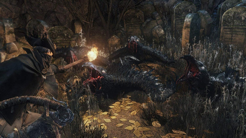 Bloodborne: Game Of The Year Edition [PlayStation 4]