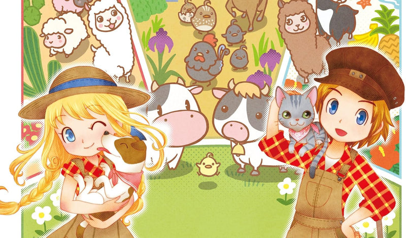 Story of Seasons: Trio of Towns [Nintendo 3DS] Nintendo 3DS Video Game XSEED Games