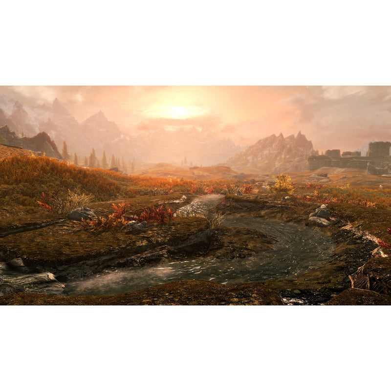 Elder Scrolls 5: Skyrim Anniversary Edition [PlayStation 4] PlayStation 4 Video Game Bethesda