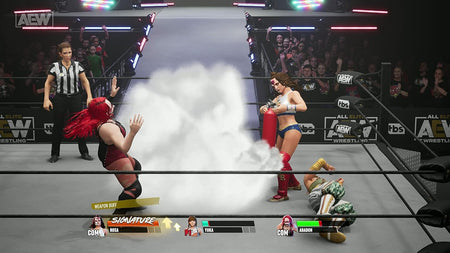 AEW: Fight Forever [Xbox One / Xbox Series X] Xbox One / Xbox Series X Video Game THQ Nordic