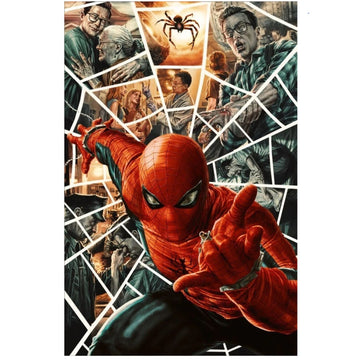 Amazing Spider-Man: #11 [Lee Bermejo - 1:100] 2025 comic Marvel Comics
