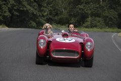 Art of Racing in the Rain [DVD] DVDs & Blu-Rays 20th Century Fox   
