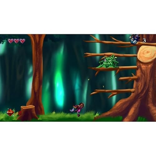 Arzette: The Jewel Of Faramore Collector's Edition - Limited Run Games #85 [PlayStation 5] PlayStation 5 Video Game Limited Run Games