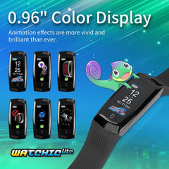 Brook Gaming: Pocket Auto Catch Watches Lite [Electronics] Electronics Brook Gaming