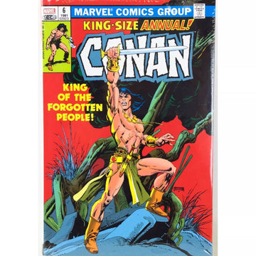 Conan the Barbarian: HC Omnibus Vol 5 [Gil Kane DM CVR B] 2021 Comics Marvel Comics