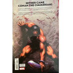 Conan the Barbarian: HC Omnibus Vol 1 [Kurt Busiek CVR A] 2020 Comics Marvel Comics