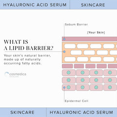 Cosmedica Skincare: Hyaluronic Acid Serum - 60 ML [Beauty] Beauty Cosmedica   