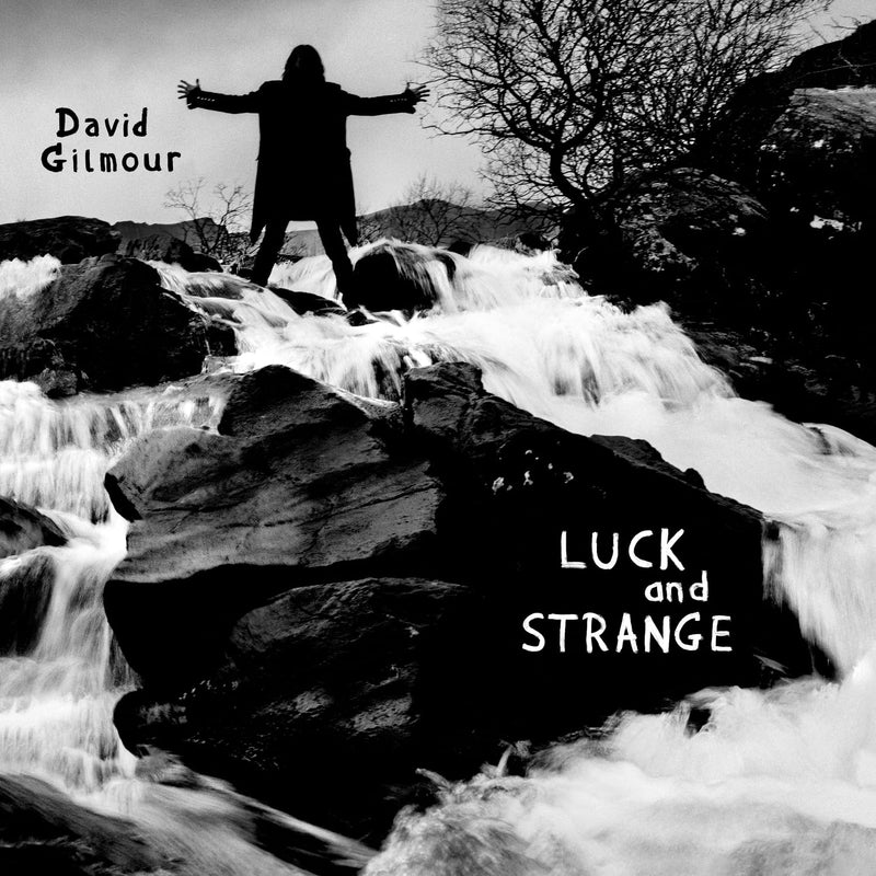 David Gilmour: Luck and Strange [Audio CD] Audio CD/Vinyl Sony Music