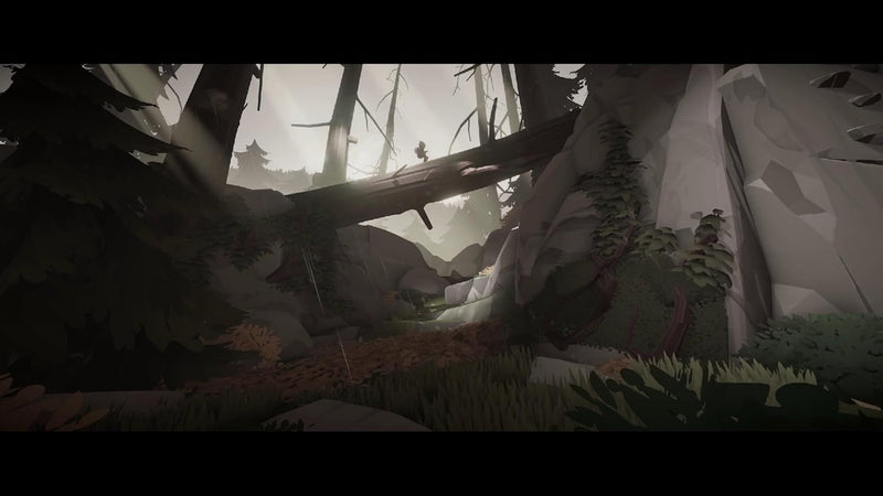 Deer & Boy [Nintendo Switch] Nintendo Switch Video Game Maximum Games