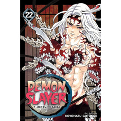 Demon Slayer: Kimetsu no Yaiba - Volume 22 Manga Viz Media