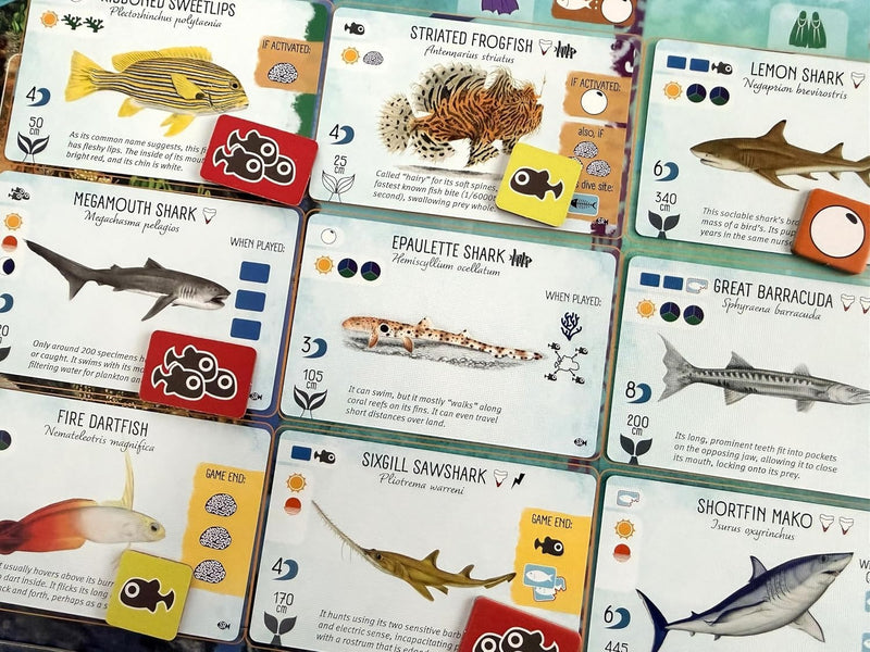 Finspan: Sharks and Reefs Expansion [Board Game, 1-5 Players] Board Game Stonemaier Games