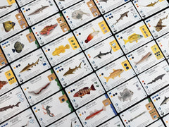 Finspan: Sharks and Reefs Expansion [Board Game, 1-5 Players] Board Game Stonemaier Games