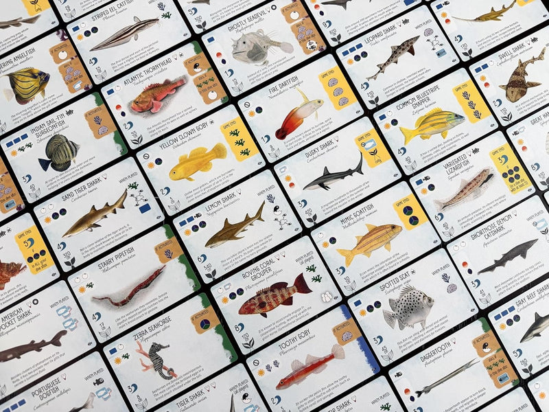 Finspan: Sharks and Reefs Expansion [Board Game, 1-5 Players] Board Game Stonemaier Games